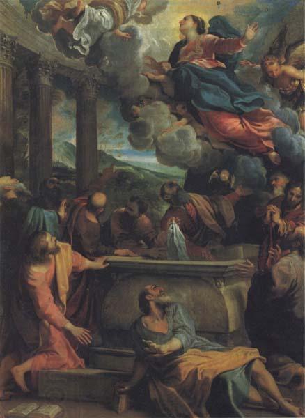 Annibale Carracci The Assumption of the Virgin oil painting picture